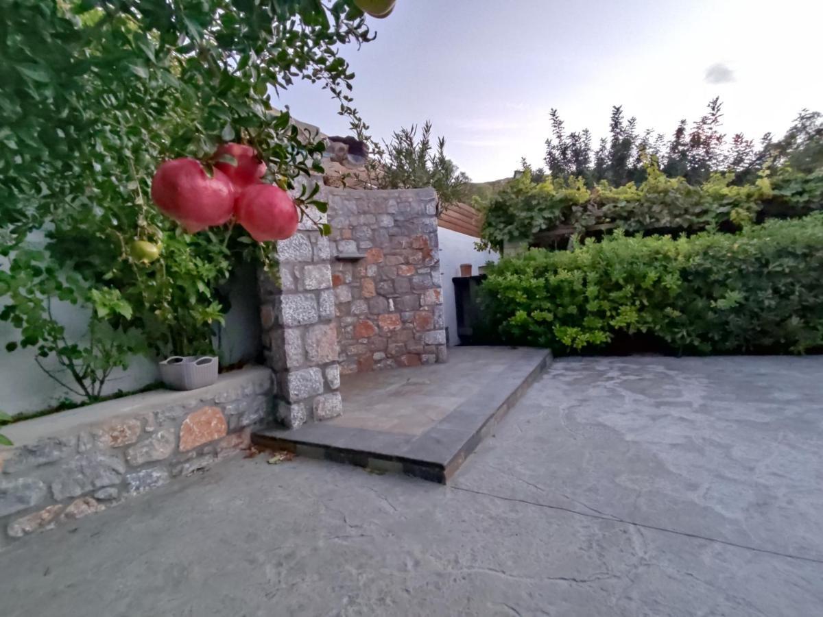 Aithonas Villa Archangelos  Eksteriør bilde