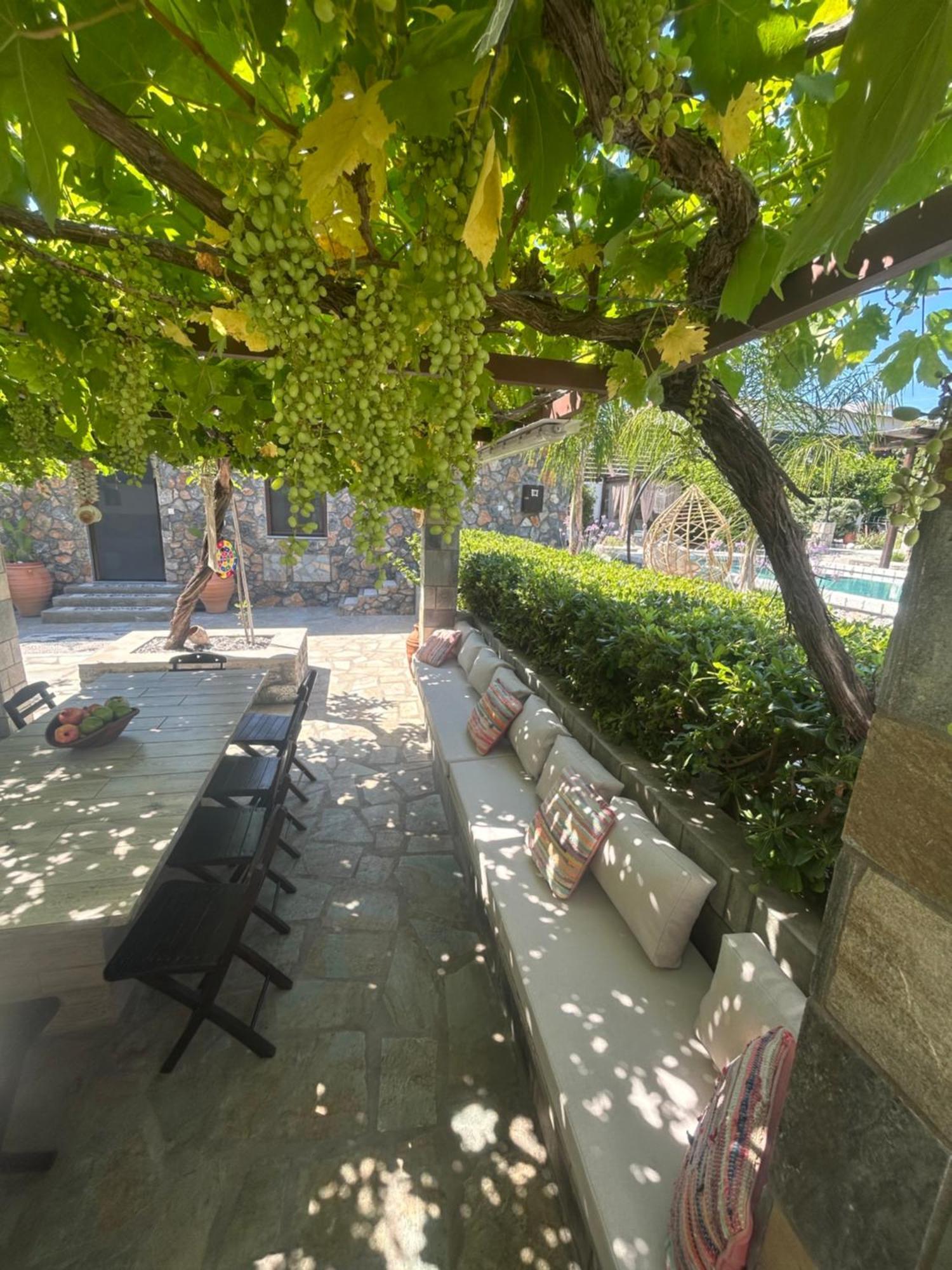 Aithonas Villa Archangelos  Eksteriør bilde